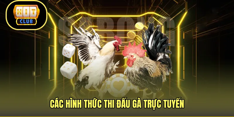 Các hình thức thi đấu gà trực tuyến