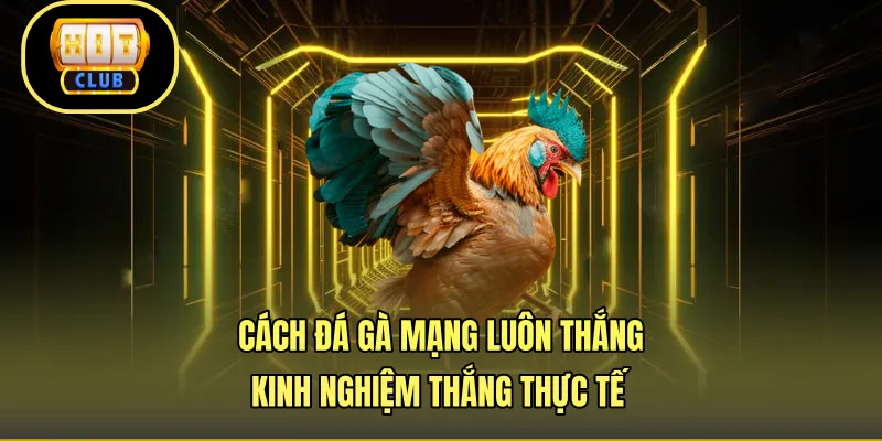 Cách Đá Gà Mạng Luôn Thắng - Kinh Nghiệm Thắng Thực Tế