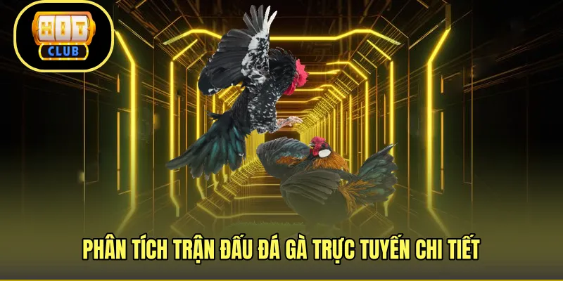 Phân tích trận đấu đá gà trực tuyến chi tiết